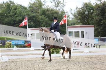 156196_nn_01_IMG_5357.JPG