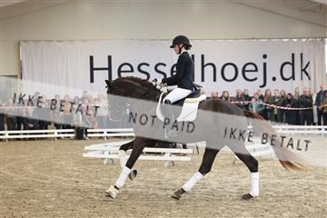 174363_kbb_01_R6II8003.JPG