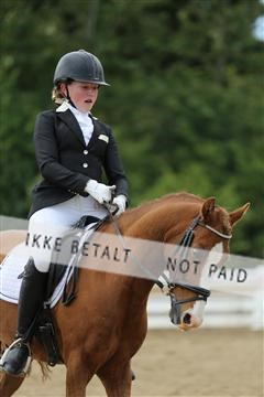 156196_nn_01_IMG_6419.JPG
