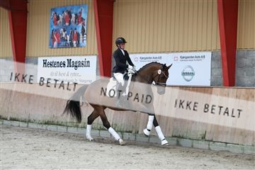181867_mtp_02_R62_4513.JPG