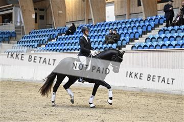 182241_kbb_01_Z094102.JPG