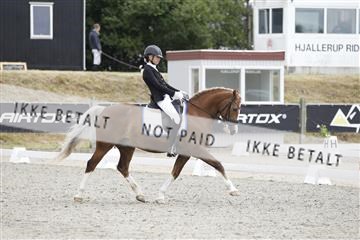 166078_rhj_01__J7R2706.JPG
