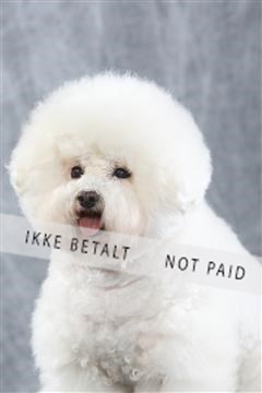 129608_le_ 01_0096.JPG