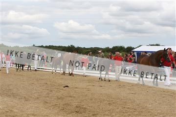 125406_sc_02_IMG_0424.jpg