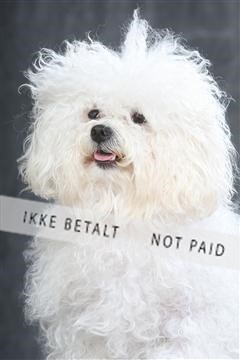 130054_le_ 01_0161.JPG