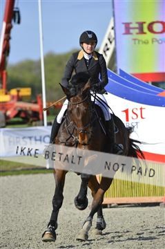 139644_abo_02__AB14732.JPG