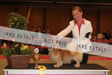 124188 _tl_02_IMG_9207.JPG