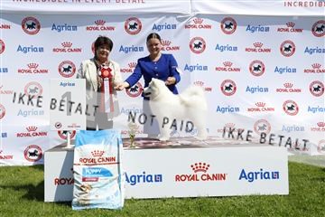 181564_kar_01__62_7675.JPG