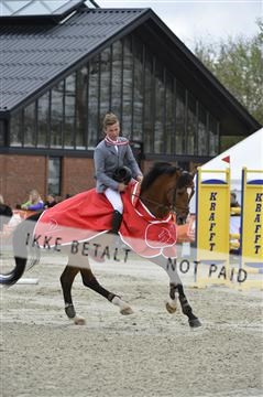 139644_abo_09__AB10721.JPG