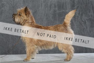 130054_le_ 03_0084.JPG