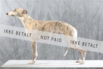 128239_le_kort_ 02_0015.JPG