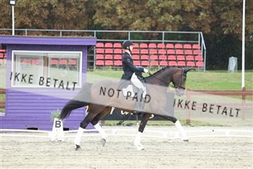 181923_mtp_04_R62_8967.JPG