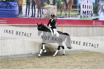 182241_kbb_01_Z094387.JPG