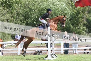 5925_ma_03_IMG_9921.JPG