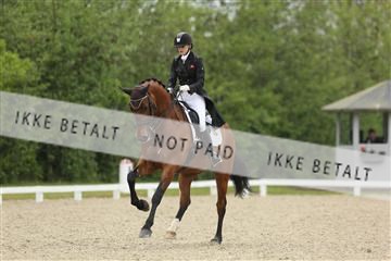139835_sg_01_IMG_8293.JPG