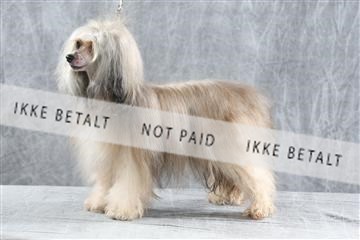 129608_le_ 01_0078.JPG