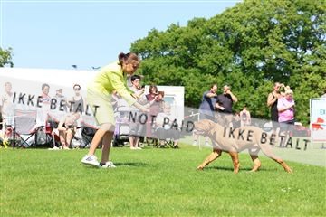 181564_rin_02_R62_2705.JPG
