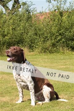 130370_le_01_IMG_7974.JPG