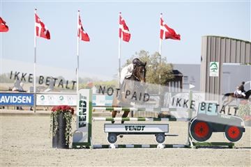 181332_kbb_01_6II3582.JPG