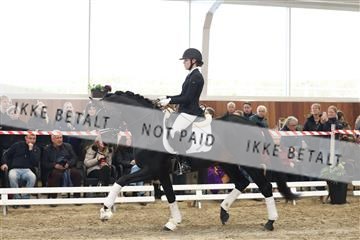 174363_kbb_01_R6II8164.JPG
