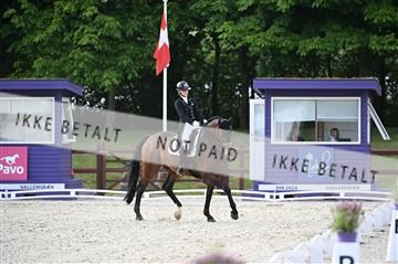 176255_mtp_02_Z09_3072.JPG