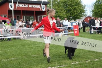 134871_ms_04_IMG_0368.JPG