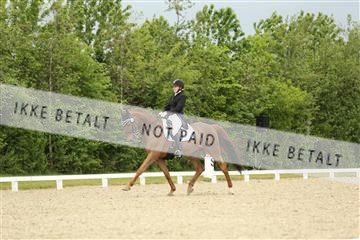 139835_sg_01_IMG_7405.JPG