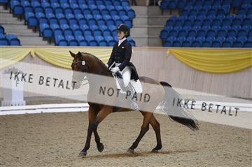 139403_ms_01__MS18145.JPG