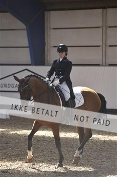 139422_bc_03__BC25994.JPG