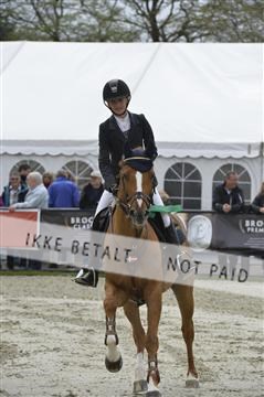 139644_abo_05__AB19921.JPG