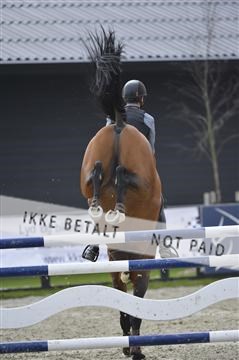 139644_abo_03__AB15336.JPG
