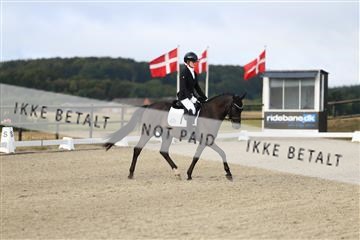 181894_mtp_04_R62_3217.JPG