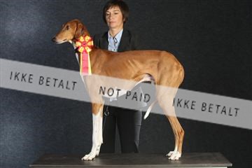 132082_le_ 01_IMG_0064.JPG