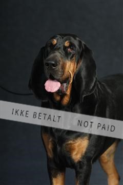 132082_le_ 01_IMG_0840.JPG