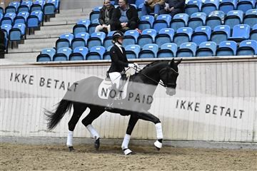 182241_kbb_01_Z094795.JPG
