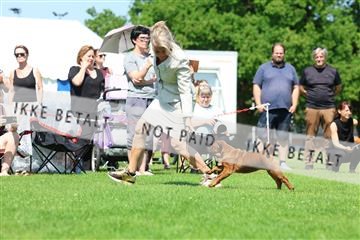 181564_rin_02_R62_2683.JPG