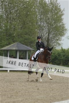 139835_sg_02_IMG_8856.JPG