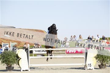 181332_kbb_01_6II4782.JPG