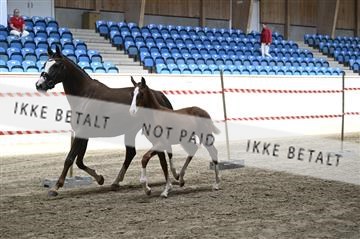 181754_kbb_01_Z093935.JPG
