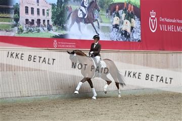 181887_mtp_01_R62_7129.JPG
