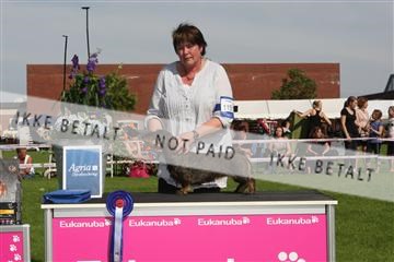 130370_se_02_IMG_6510.JPG