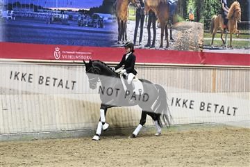 182241_kbb_01_Z093551.JPG