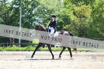 168732_mtp_01_3M5A7162.JPG