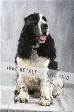 129608_le_ 02_0234.JPG