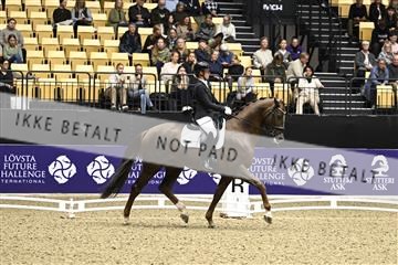 182194_kbb_03_Z090646.JPG