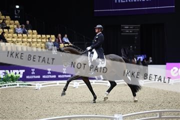 182194_mlm_01_R62_9718.JPG