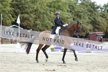 181923_mtp_04_R62_8813.JPG