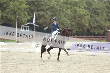 181923_mtp_04_R62_8304.JPG