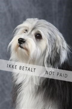 129608_le_ 01_0343.JPG