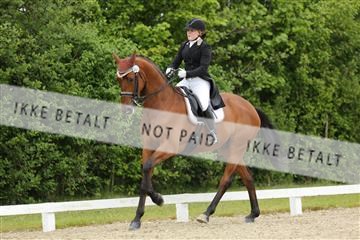 139835_sg_01_IMG_7898.JPG